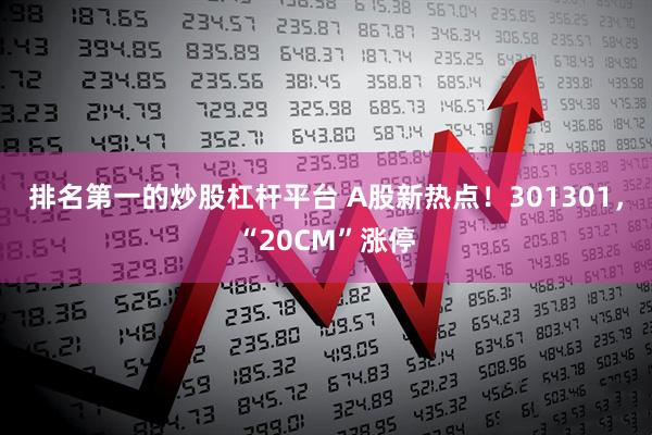 排名第一的炒股杠杆平台 A股新热点！301301，“20CM”涨停