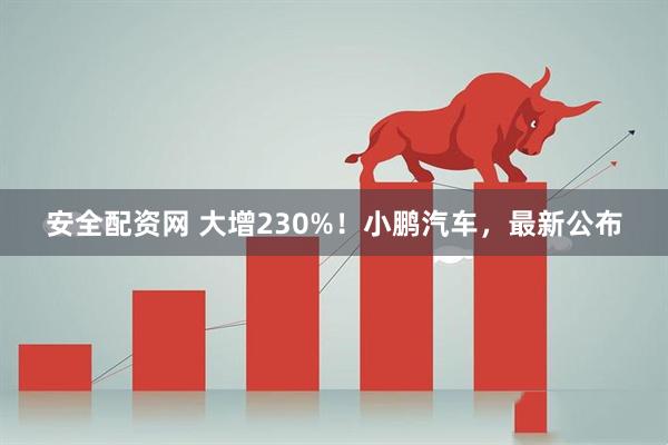 安全配资网 大增230%！小鹏汽车，最新公布