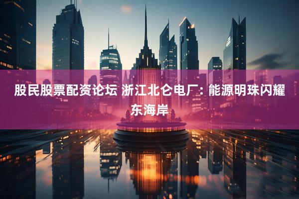 股民股票配资论坛 浙江北仑电厂: 能源明珠闪耀东海岸