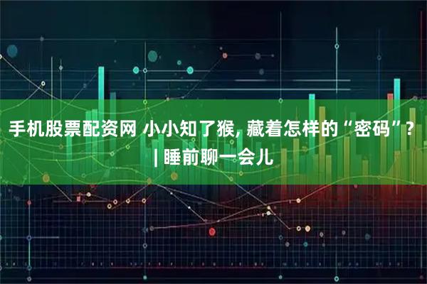 手机股票配资网 小小知了猴, 藏着怎样的“密码”? | 睡前聊一会儿
